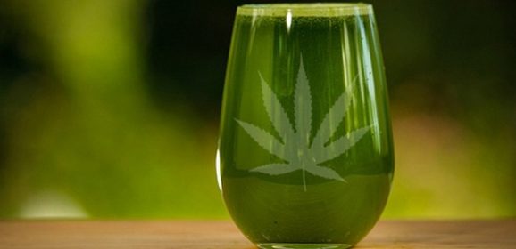 Benefits and uses of marijuana juice